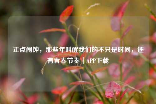 正点闹钟,那些年叫醒我们的不只是时间,还有青春节奏|APP下载
