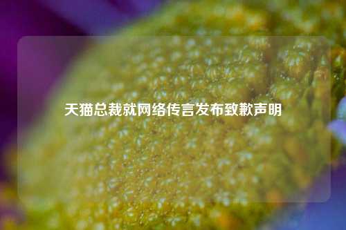 天猫总裁就网络传言发布致歉声明