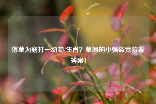 落草为寇打一动物/生肖?草间的小强盗竟藏着答案!