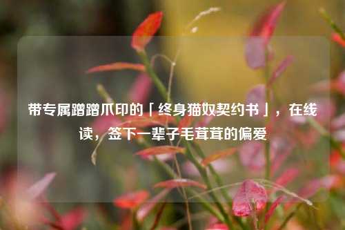 带专属蹭蹭爪印的「终身猫奴契约书」,在线读,签下一辈子毛茸茸的偏爱