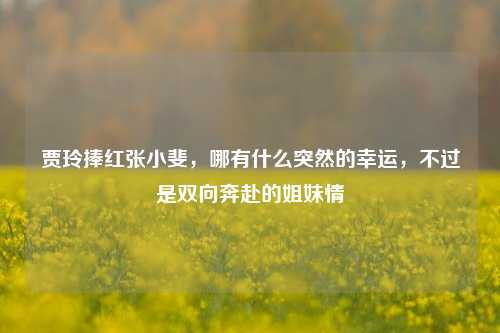 贾玲捧红张小斐,哪有什么突然的幸运,不过是双向奔赴的姐妹情