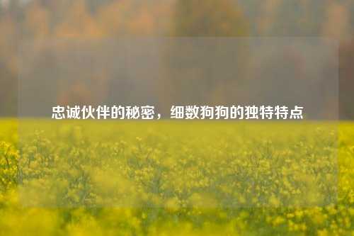 忠诚伙伴的秘密，细数狗狗的独特特点