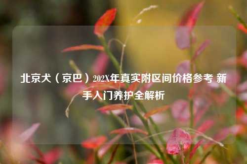 北京犬(京巴)202X年真实附区间价格参考 新手入门养护全解析