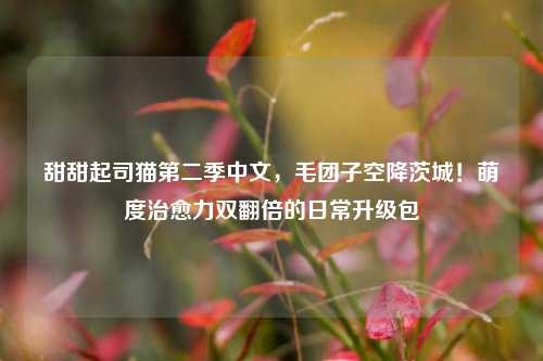 甜甜起司猫第二季中文,毛团子空降茨城!萌度治愈力双翻倍的日常升级包