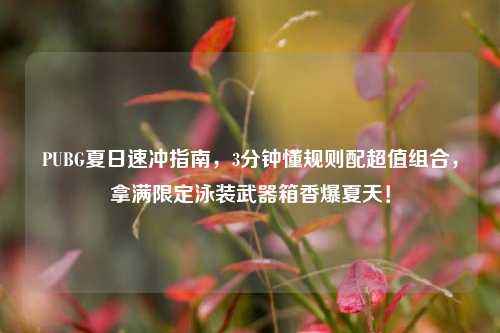 PUBG夏日速冲指南,3分钟懂规则配超值组合,拿满限定泳装武器箱香爆夏天!
