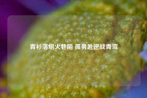 青衫落烟火巷陌 孤勇赴逆战青鸾