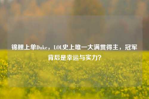 锦鲤上单Duke,LOL史上唯一大满贯得主,冠军背后是幸运与实力?