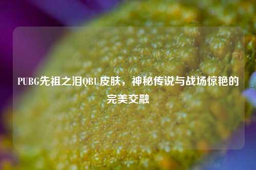 PUBG先祖之泪QBU皮肤，神秘传说与战场惊艳的完美交融