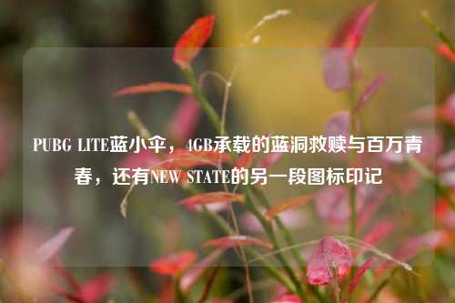 PUBG LITE蓝小伞,4GB承载的蓝洞救赎与百万青春,还有NEW STATE的另一段图标印记