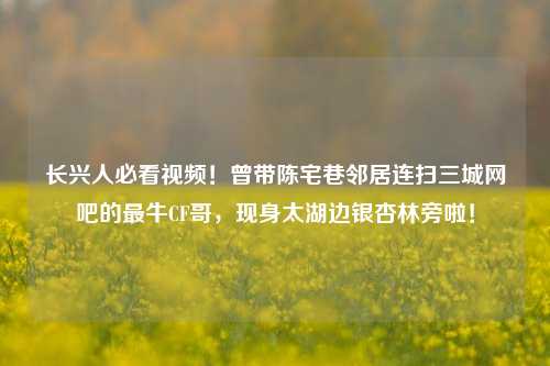 长兴人必看视频!曾带陈宅巷邻居连扫三城网吧的最牛CF哥,现身太湖边银杏林旁啦!