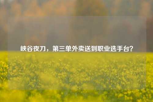 峡谷夜刀,第三单外卖送到职业选手台?