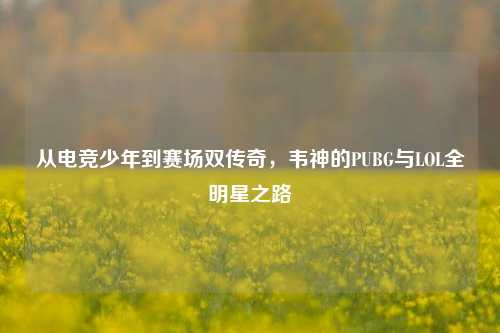 从电竞少年到赛场双传奇,韦神的PUBG与LOL全明星之路