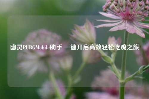 幽灵PUBGMobile助手 一键开启高效轻松吃鸡之旅