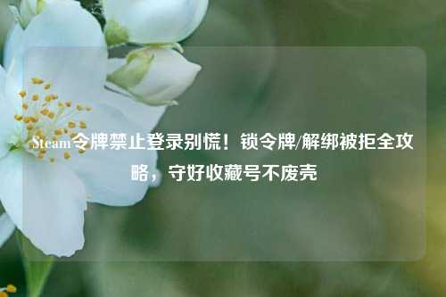 Steam令牌禁止登录别慌！锁令牌/解绑被拒全攻略，守好收藏号不废壳