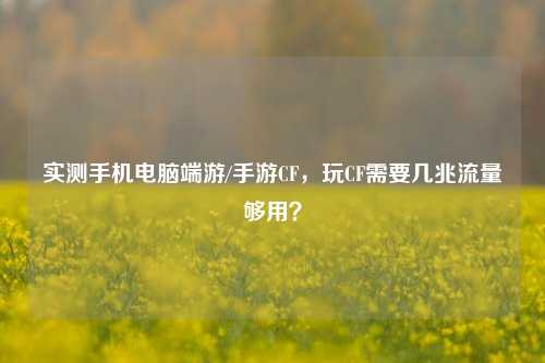 实测手机电脑端游/手游CF,玩CF需要几兆流量够用?