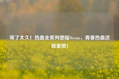 等了太久！热血全系列登陆Steam，青春热血这就重燃！