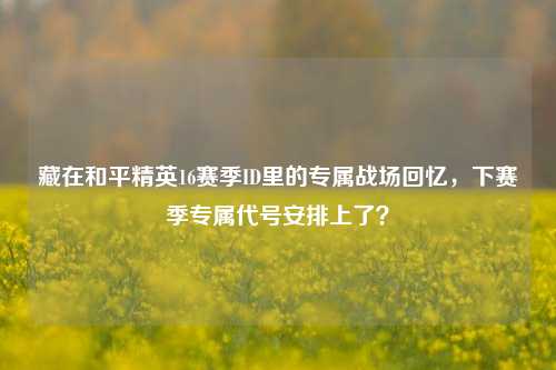 藏在和平精英16赛季ID里的专属战场回忆，下赛季专属代号安排上了？