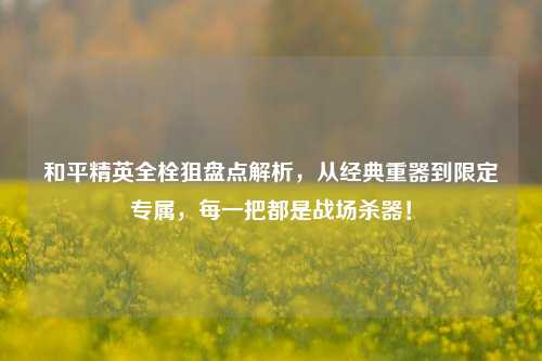 和平精英全栓狙盘点解析，从经典重器到限定专属，每一把都是战场杀器！