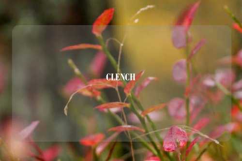 CLENCH