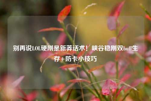 别再说LOL硬刚是新莽话术！峡谷稳刚双buff生存+防卡小技巧