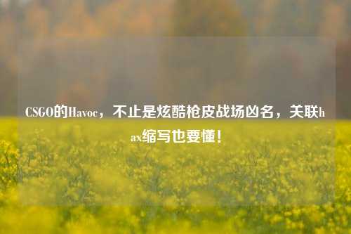 CSGO的Havoc,不止是炫酷枪皮战场凶名,关联hax缩写也要懂!