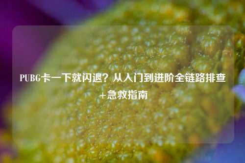 PUBG卡一下就闪退？从入门到进阶全链路排查+急救指南