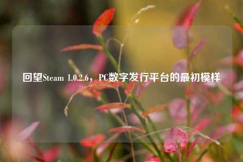 回望Steam 1.0.2.6，PC数字发行平台的最初模样