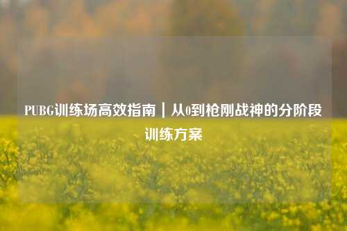 PUBG训练场高效指南|从0到枪刚战神的分阶段训练方案