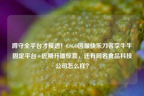 蹲守全平台才摸透!CSGO国服快乐刀客李牛牛固定平台+近期开播惊喜,还有同名食品科技公司怎么样?