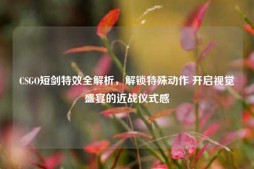 CSGO短剑特效全解析,解锁特殊动作 开启视觉盛宴的近战仪式感