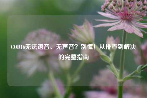 COD16无法语音、无声音？别慌！从排查到解决的完整指南