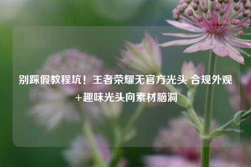 别踩假教程坑!王者荣耀无官方光头 合规外观+趣味光头向素材脑洞