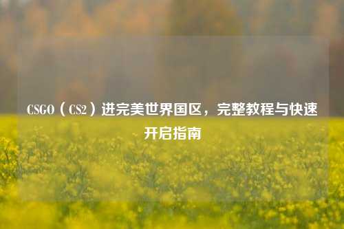 CSGO(CS2)进完美世界国区,完整教程与快速开启指南
