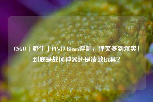 CSGO「野牛」PP-19 Bizon评测,弹夹多到爆爽!到底是战场神器还是凑数玩具?