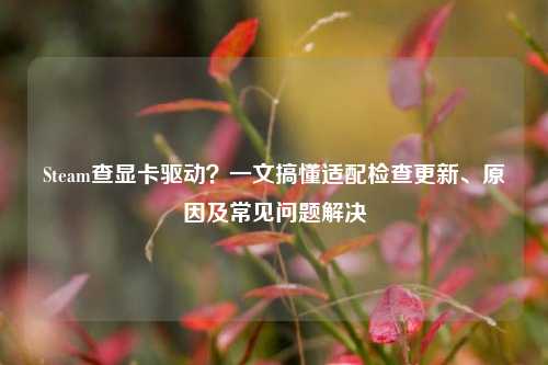 Steam查显卡驱动？一文搞懂适配检查更新、原因及常见问题解决