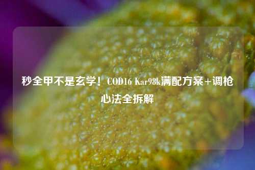秒全甲不是玄学!COD16 Kar98k满配方案+调枪心法全拆解