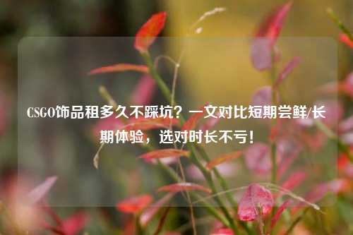 CSGO饰品租多久不踩坑?一文对比短期尝鲜/长期体验,选对时长不亏!