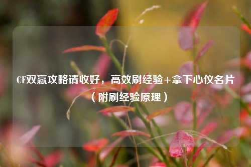 CF双赢攻略请收好,高效刷经验+拿下心仪名片(附刷经验原理)