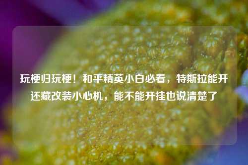 玩梗归玩梗！和平精英小白必看，特斯拉能开还藏改装小心机，能不能开挂也说清楚了