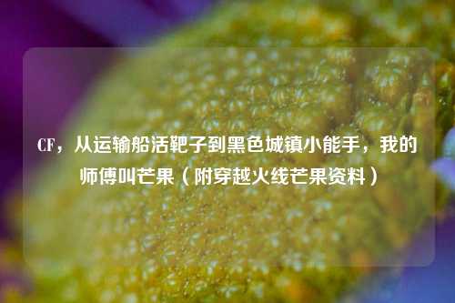 CF，从运输船活靶子到黑色城镇小能手，我的师傅叫芒果（附穿越火线芒果资料）