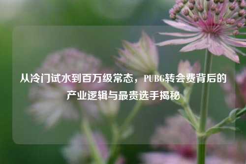 从冷门试水到百万级常态,PUBG转会费背后的产业逻辑与最贵选手揭秘