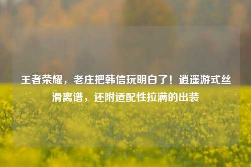 王者荣耀,老庄把韩信玩明白了!逍遥游式丝滑离谱,还附适配性拉满的出装
