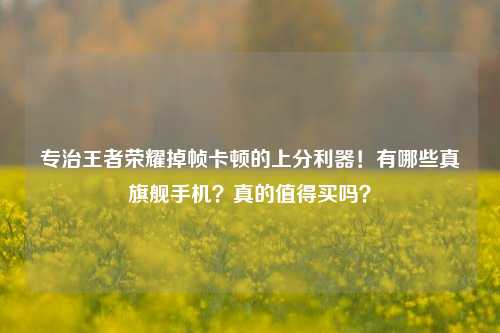 专治王者荣耀掉帧卡顿的上分利器!有哪些真旗舰手机?真的值得买吗?