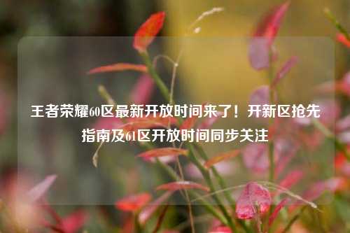 王者荣耀60区最新开放时间来了！开新区抢先指南及61区开放时间同步关注