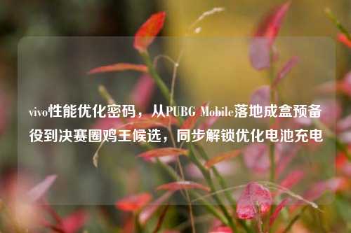 vivo性能优化密码,从PUBG Mobile落地成盒预备役到决赛圈鸡王候选,同步解锁优化电池充电