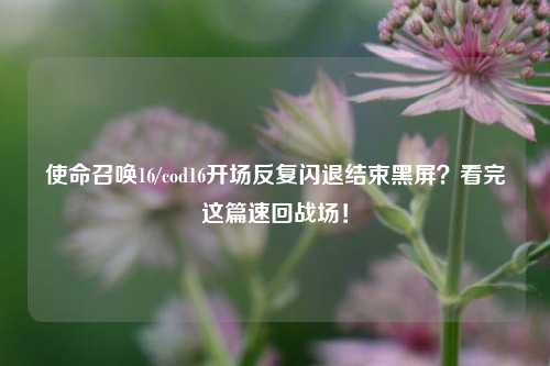 使命召唤16/cod16开场反复闪退结束黑屏？看完这篇速回战场！