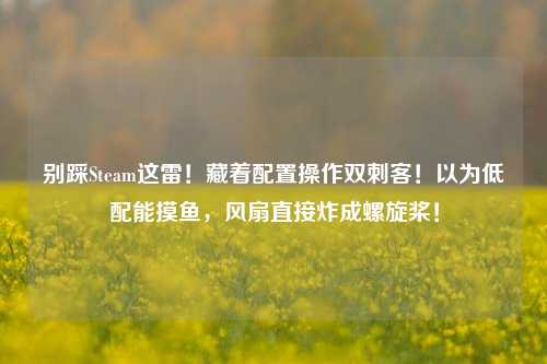 别踩Steam这雷!藏着配置操作双刺客!以为低配能摸鱼,风扇直接炸成螺旋桨!