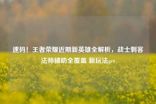 速码！王者荣耀近期新英雄全解析，战士刺客法师辅助全覆盖 新玩法get