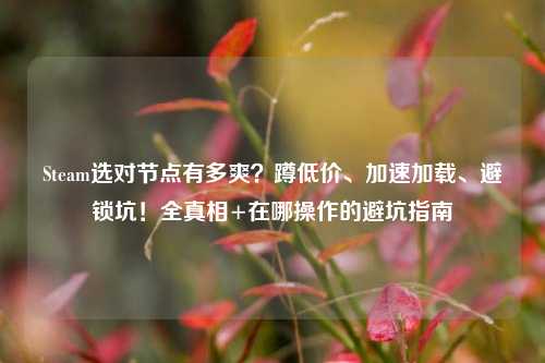 Steam选对节点有多爽?蹲低价、加速加载、避锁坑!全真相+在哪操作的避坑指南