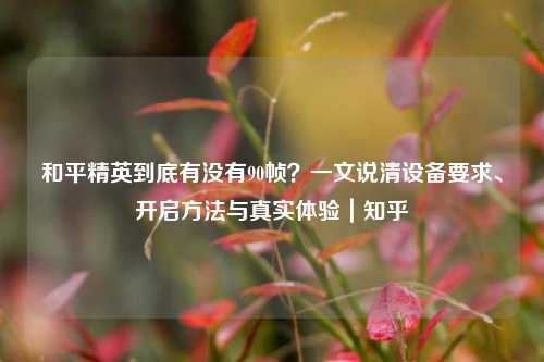 和平精英到底有没有90帧？一文说清设备要求、开启方法与真实体验｜知乎